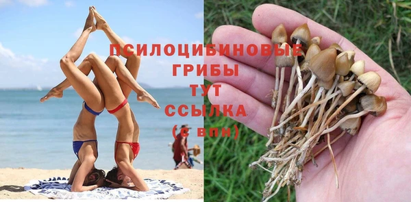 ешки Алексин